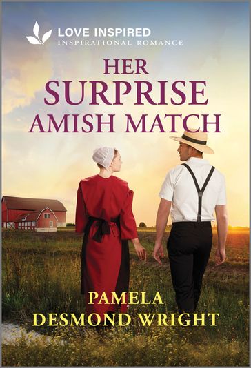 Her Surprise Amish Match - Pamela Desmond Wright