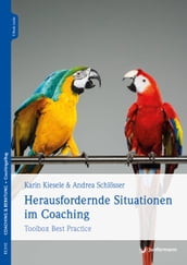 Herausfordernde Situationen im Coaching