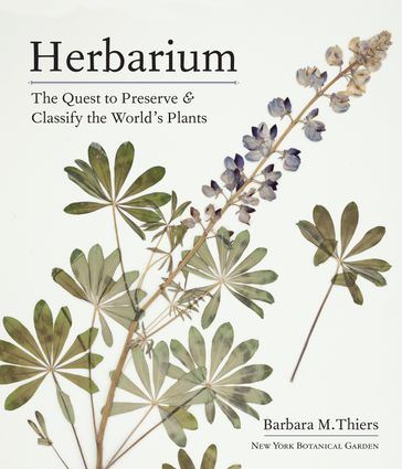 Herbarium - Barbara M. Thiers