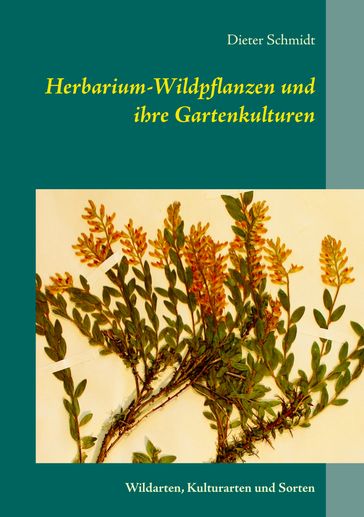 Herbarium-Wildpflanzen und ihre Gartenkulturen - Dieter Schmidt