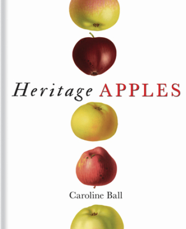 Heritage Apples - Caroline Ball