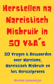 Herstellen na Narcistisch Misbruik in 50 Vragen & Antwoorden