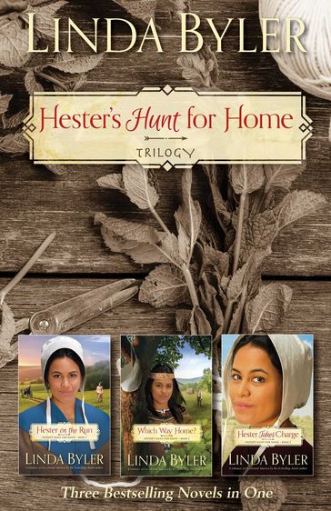 Hester's Hunt for Home Trilogy - Linda Byler