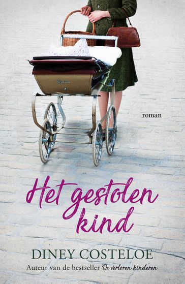 Het gestolen kind - Diney Costeloe