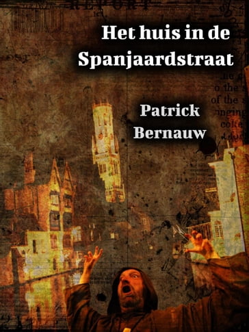 Het huis in de Spanjaardstraat - Patrick Bernauw