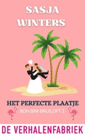 Het perfecte plaatje