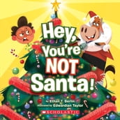 Hey, You re Not Santa!