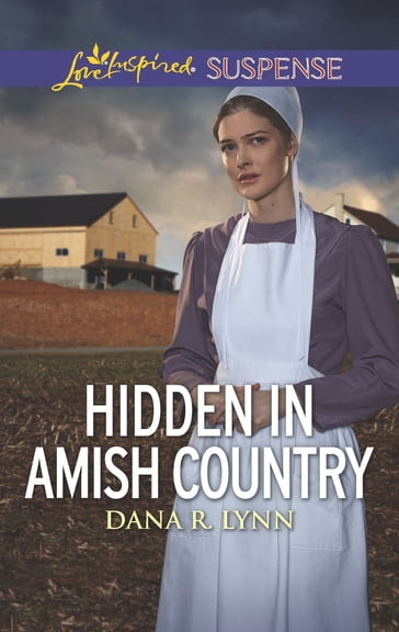 Hidden in Amish Country - Dana R. Lynn