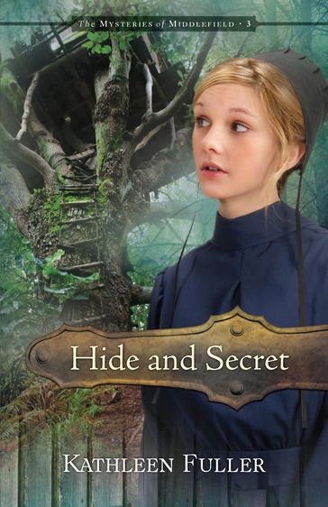 Hide and Secret - Kathleen Fuller