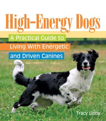 High-Energy Dogs - Tracy Libby