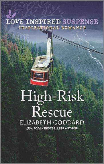 High-Risk Rescue - Elizabeth Goddard