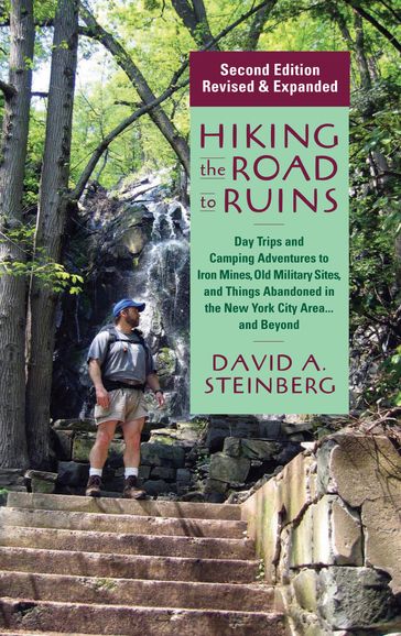 Hiking the Road to Ruins - David A. Steinberg