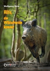 Hilfe, ein Wildschwein kommt