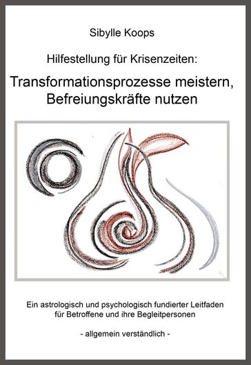 Hilfestellung für Krisenzeiten: Transformationsprozesse meistern, Befreiungskräfte nutzen - Sibylle Koops