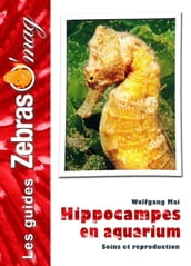 Hippocampes en aquarium