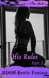 His Rules Part 3