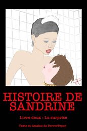 Histoire de Sandrine Livre 2