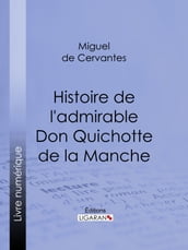 Histoire de l admirable Don Quichotte de la Manche