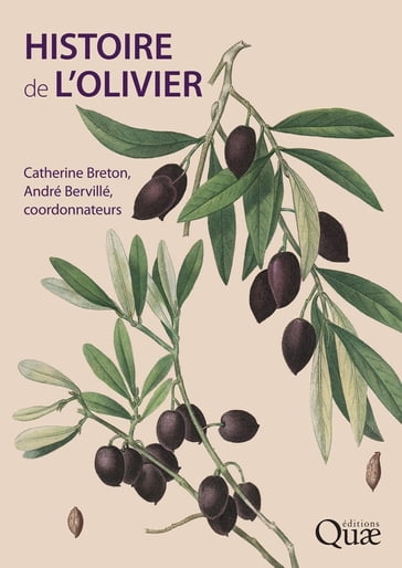 Histoire de l'olivier - André Bervillé - Catherine Breton