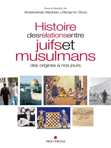 Histoire des relations entre juifs et musulmans des origines à nos jours - Collectif - Abdelwahab Meddeb - Benjamin Stora