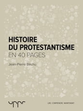Histoire du protestantisme- En 40 pages