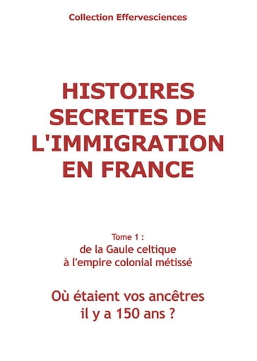 Histoires secrètes de l'immigration en France-tome 1 - Odile Alleguède - Jean-Yves Gauchet