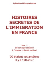 Histoires secrètes de l immigration en France-tome 1