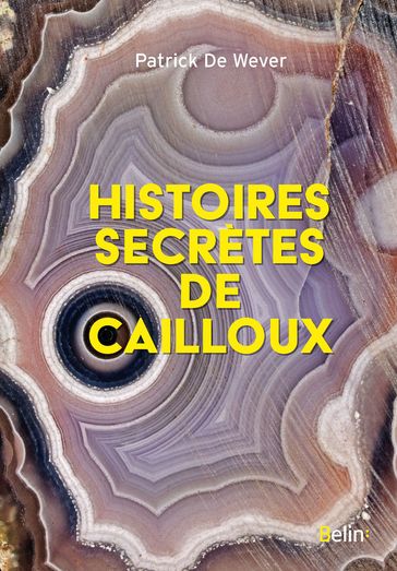 Histoires secrètes de cailloux - Patrick De Wever