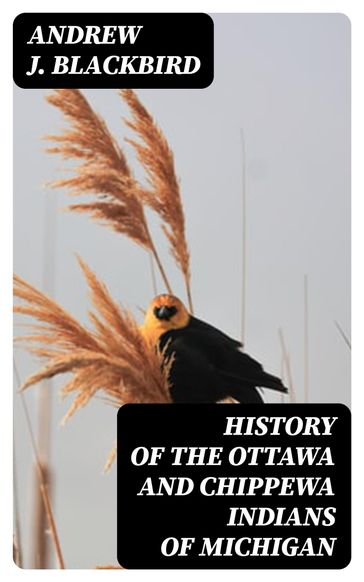 History of the Ottawa and Chippewa Indians of Michigan - Andrew J. Blackbird