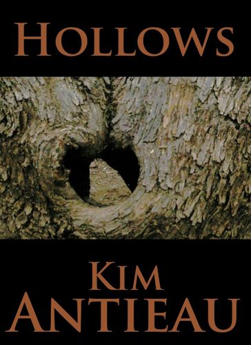 Hollows - Kim Antieau