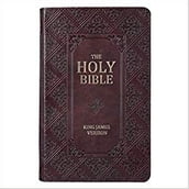 Holy Bible, Authorized Old and New Testaments, KJV-1611 (Kobo s Best)