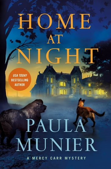 Home at Night - Paula Munier