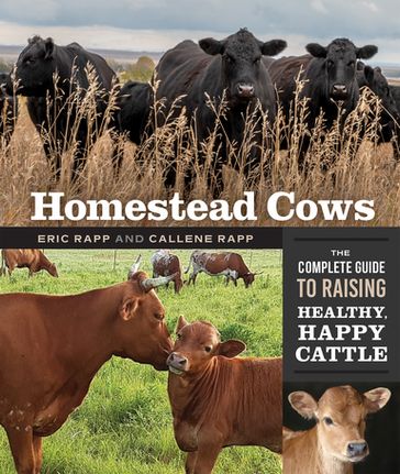 Homestead Cows - Callene Rapp - Eric Rapp