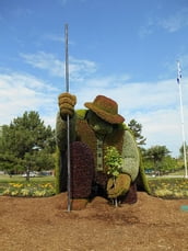 L Homme qui plantait des arbres