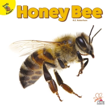 Honey Bee - R.E. Robertson