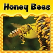 Honey Bees