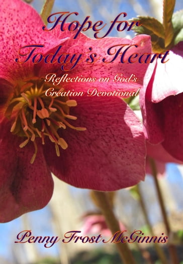 Hope for Today's Heart - Penny Frost McGinnis