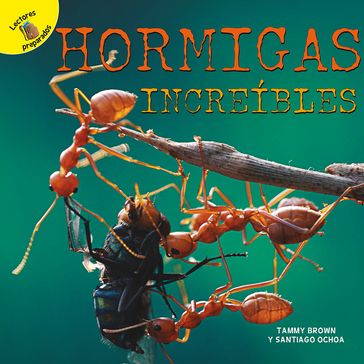 Hormigas increíbles - Santiago Ochoa - Tammy Brown