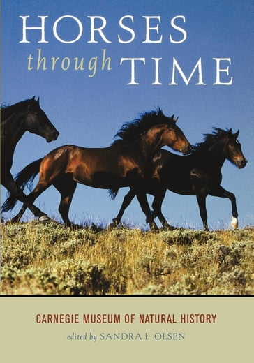 Horses through Time - Sandra Olsen