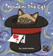 Houdini The Cat