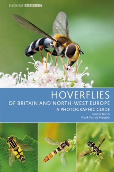 Hoverflies of Britain and North-west Europe - Sander Bot - Frank Van de Meutter