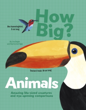 How Big? Animals - Lisa Regan