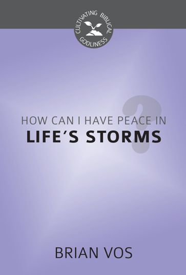 How Can I Have Peace in Life's Storms? - Brian Vos