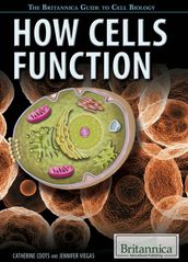 How Cells Function