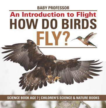 How Do Birds Fly? An Introduction to Flight - Science Book Age 7   Children's Science & Nature Books - Baby Professor