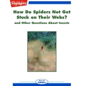 How Do Spiders Not Get Stuck on Their Webs?