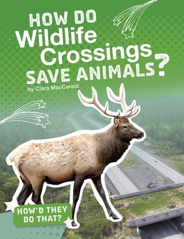 How Do Wildlife Crossings Save Animals? - Clara MacCarald