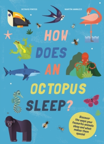 How Does An Octopus Sleep? - Martin Iannuzzi - Octavio Pintos