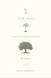 How Does Sanctification Work?