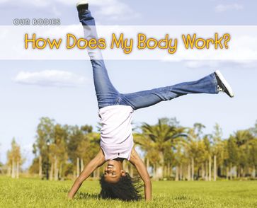 How Does Your Body Work? - Charlotte Guillain